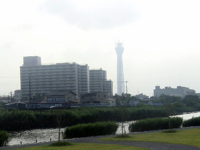 skytree