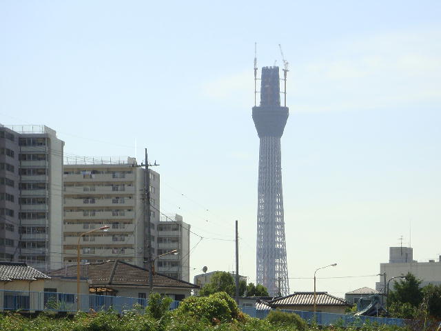 skytree