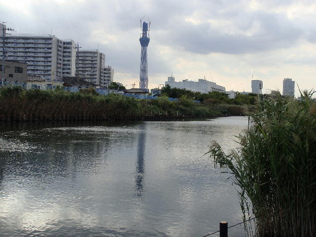 skytree