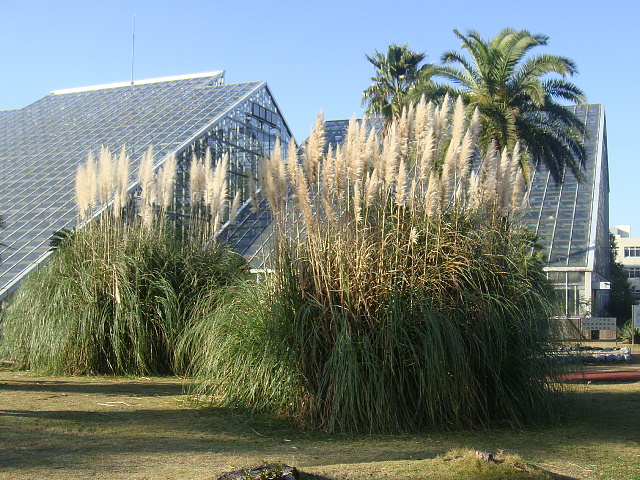 Tsukuba Botanical Garden